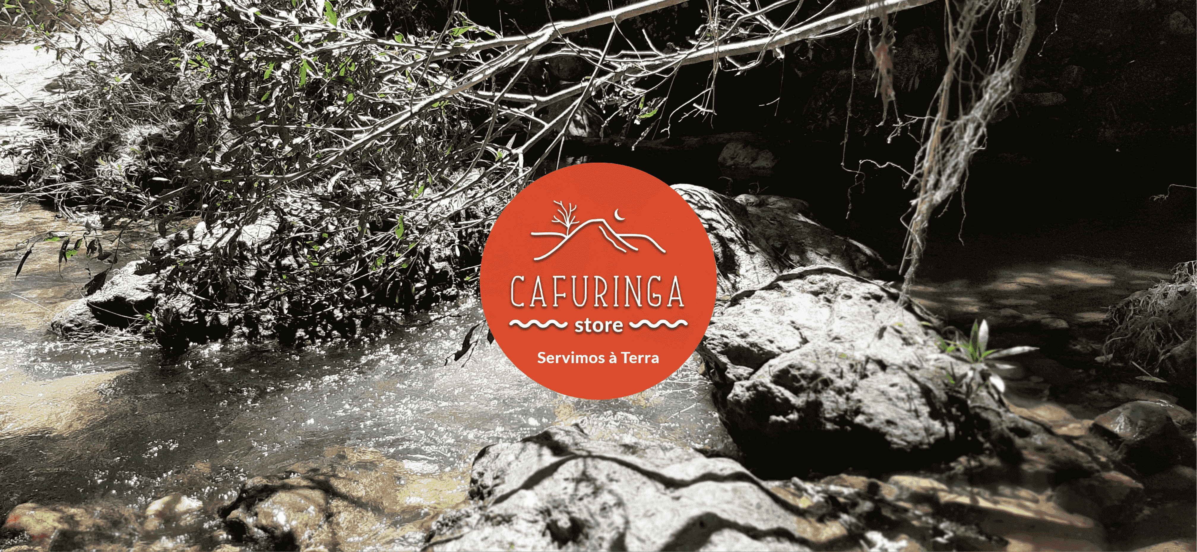 imagem 2 (1) (1) (1) (1) (1) (1).png