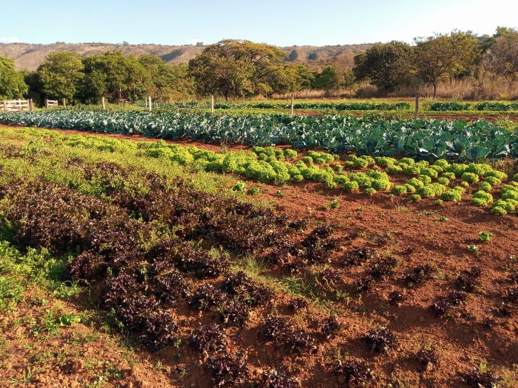 WhatsApp Image 2020-11-07 at 23.30.05 (4).jpeg